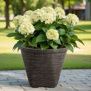 My Texas House 16" Ainsley Woven Planter, Dark Brown Resin Basket‎